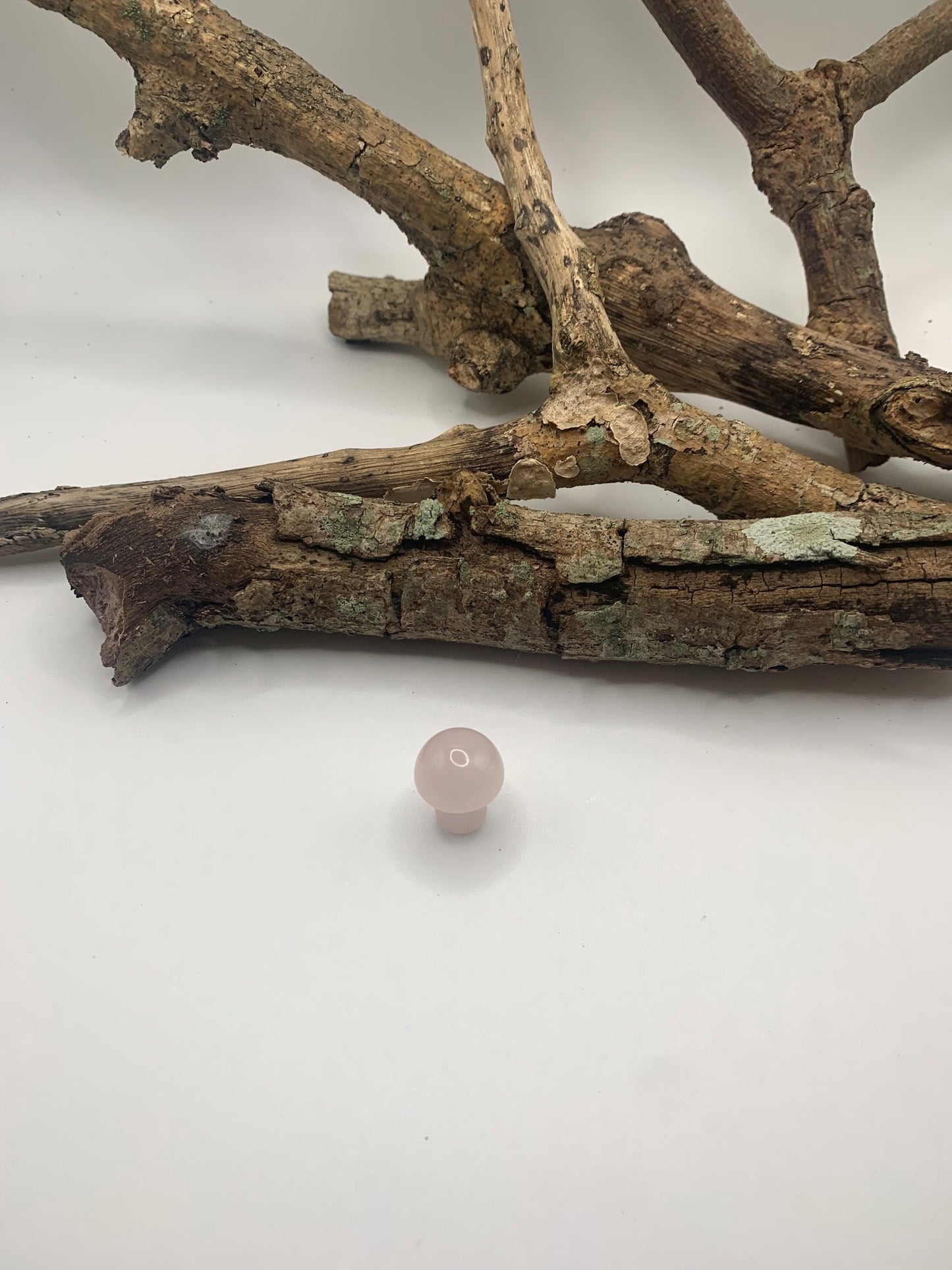 Mini Crystal Mushroom