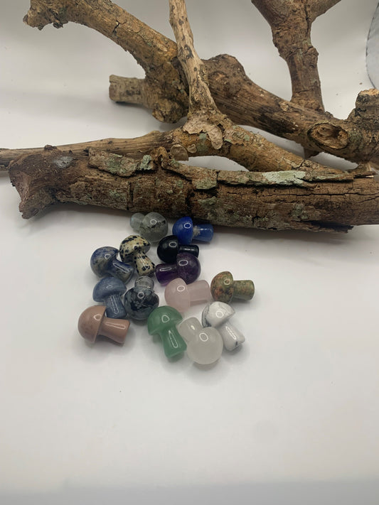 Mini Crystal mushroom